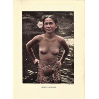 Livros/Acervo/N/NUDES OF 4